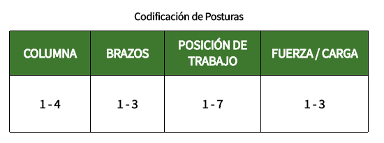owas_6 Codificación de posturas