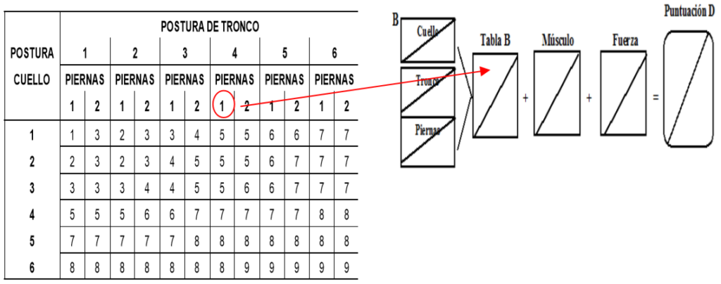 rula_4 Cáculo resultado total