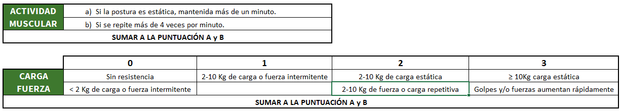 rula_5 Tabla muscular y fuerza