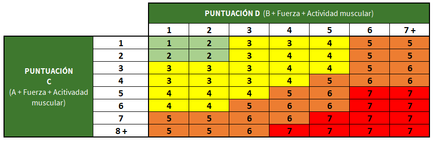 rula_6 Puntuación D Total